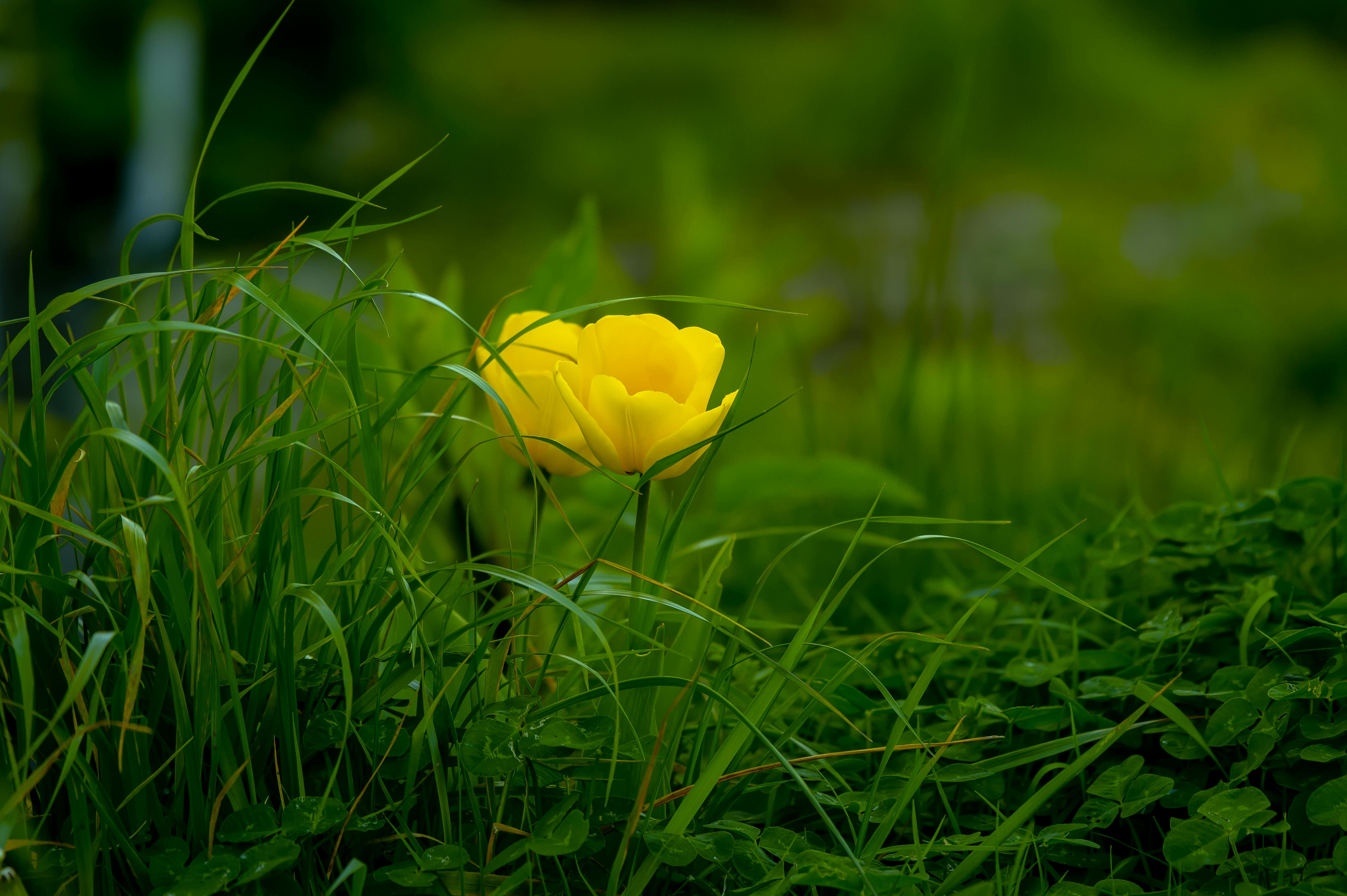 Nature photography